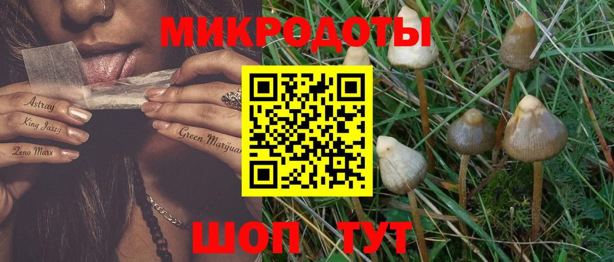 Псилоцибиновые грибы ЛСД Губаха
