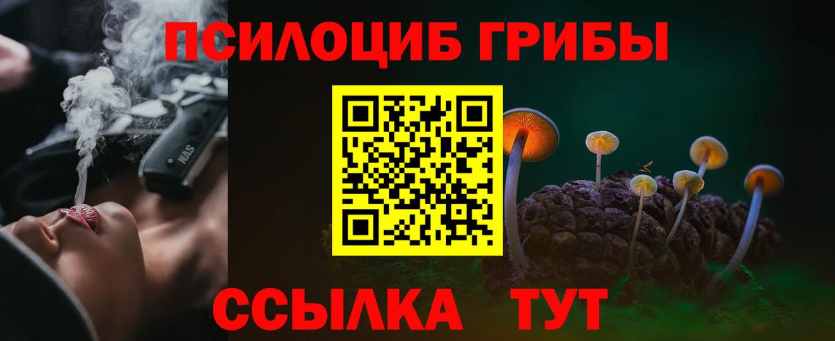 Галлюциногенные грибы прущие грибы  Вход с VPN  Губаха 